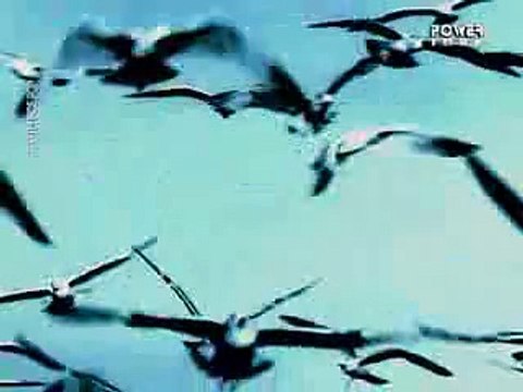 sezen aksu ben sende tutuklu kaldım