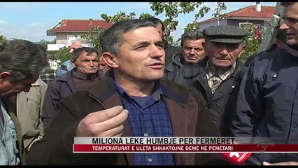 Temperaturat e ulëta shkaktojnë dëme në pemëtari - News, Lajme - Vizion Plus