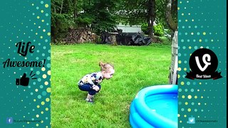 AFV FUNNY KIDS FAILS COMPILATION 2017 (Best Fails of the Week - January 2017)  Life Awesome