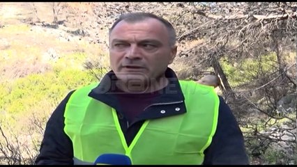 Ora News - Shtohet gjelbërimi në malin e Shëngjinit në Lezhë, të rinjtë mbjellin pisha