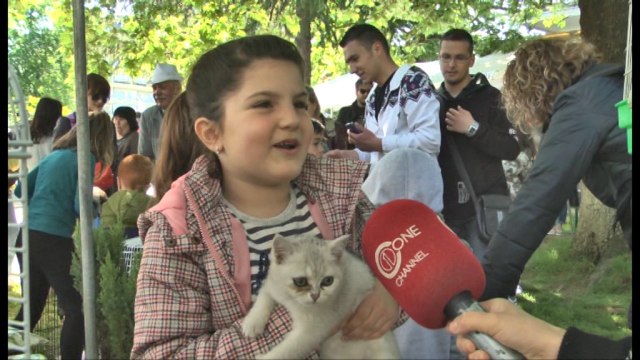 Çelet për herë të parë në Tiranë, panairi i kafshëve dhe shpendëve shtëpiakë