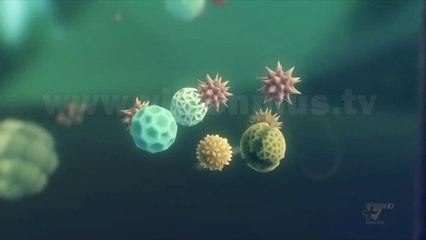 Next - Gaming - Videolojrat më të mira - 24 Prill 2017 - Show - Vizion Plus