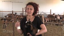 Rudina - Ejona Zaimaj, financierja që zgjodhi të bëhet fermere! (24 prill 2017)