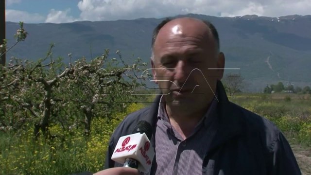 Ohri dhe Struga ballafaqohen me dëmtimin e pemëve nga temperaturat e ulëta