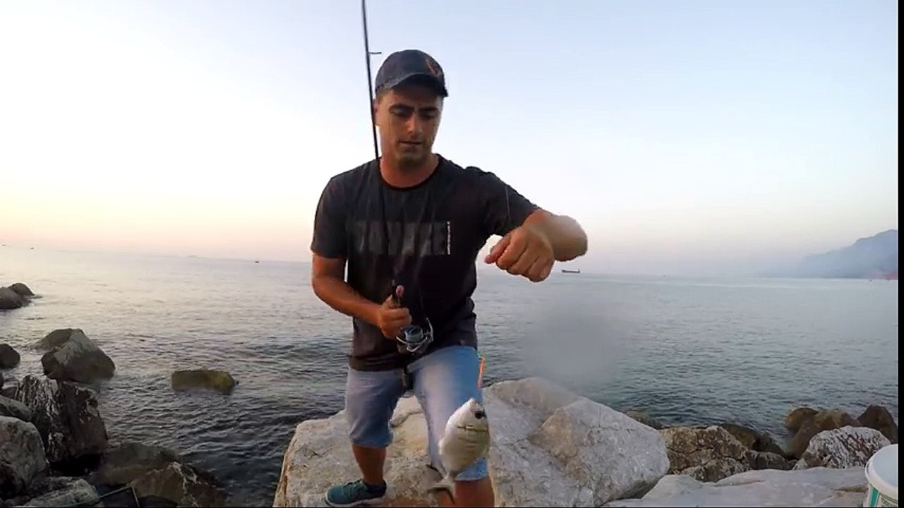 Sargoz Avı
