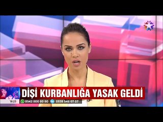Kurban pazarlarında dişi hayvan bulundurulması kesinlikle yasaklandı