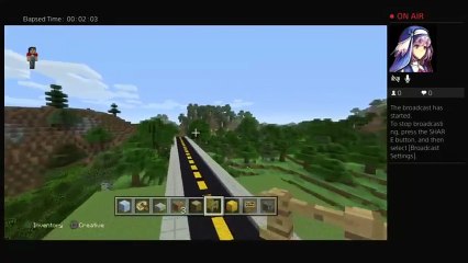 Minecraft City Behind the scenes (56)