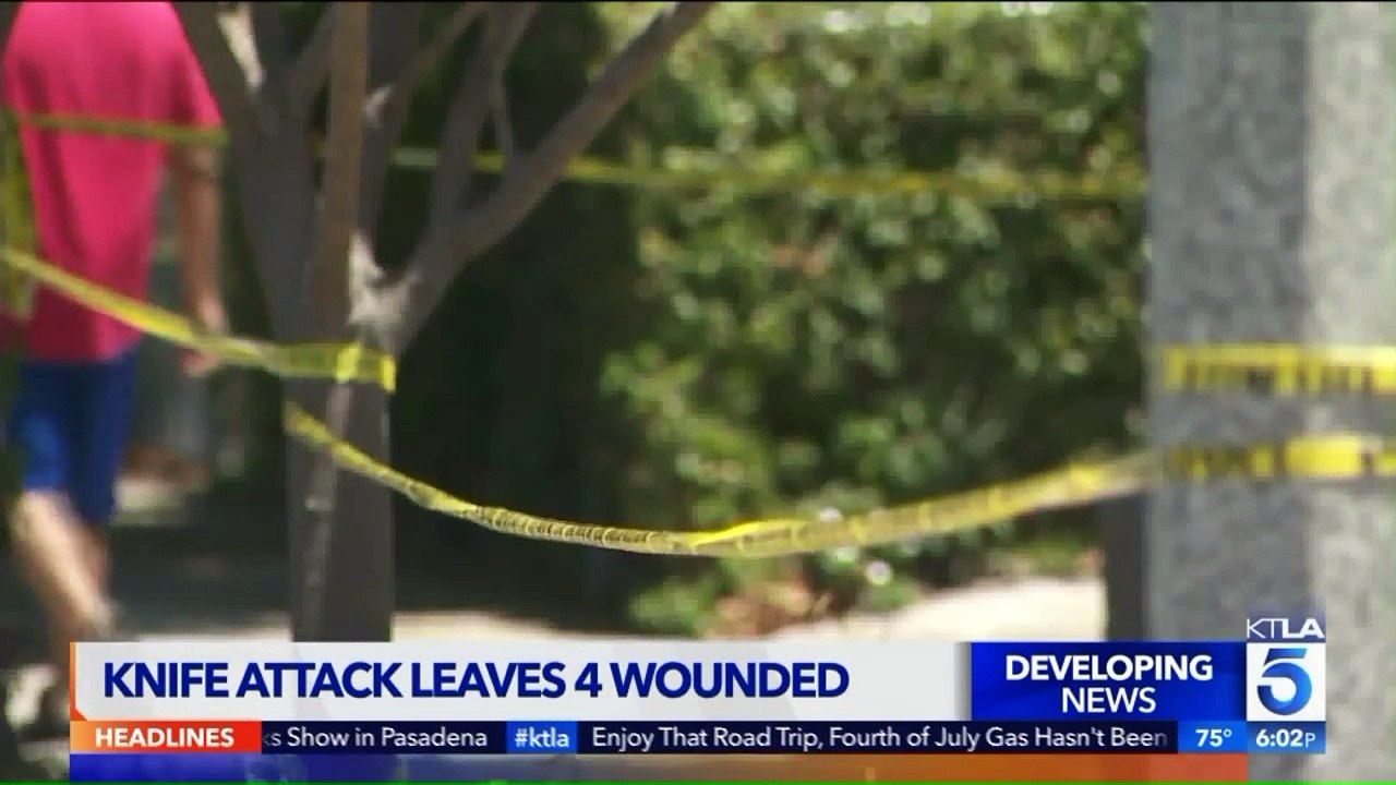 California Man Steps in, Uses Bat to Protect Neighbors From Knife Attack