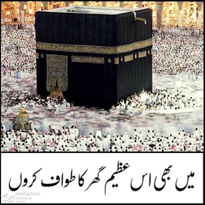 دعا