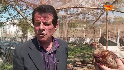 Ne Shtepine Tone, 28 Prill 2017, Pjesa 2 - Top Channel Albania - Entertainment Show