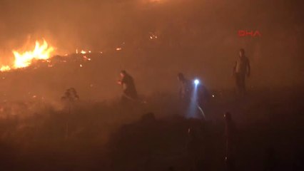 Muğla Bodrum'da Makilik Yangını