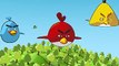 Enojado mala aves gratis jugabilidad Verde niveles en línea cerdo cerditos Vs mini tutorial 1-10 1