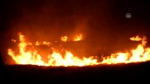 Bodrum'da Makilik Alanda Yangın - Yangın Kontrol Altına Alındı