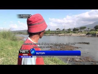 Buaya Muara Hebohkan Warga Surabaya - NET24