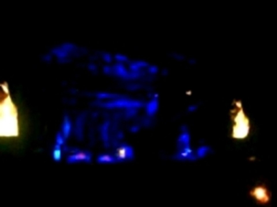 Rock en Seine - Bjork Hunter