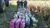 Decomisan 1.800 kilos de cocaína en operativo en Argentina