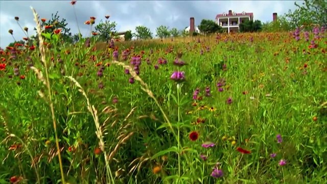 Janet - Coaching Testimonial Tony Robbins Results Coaching