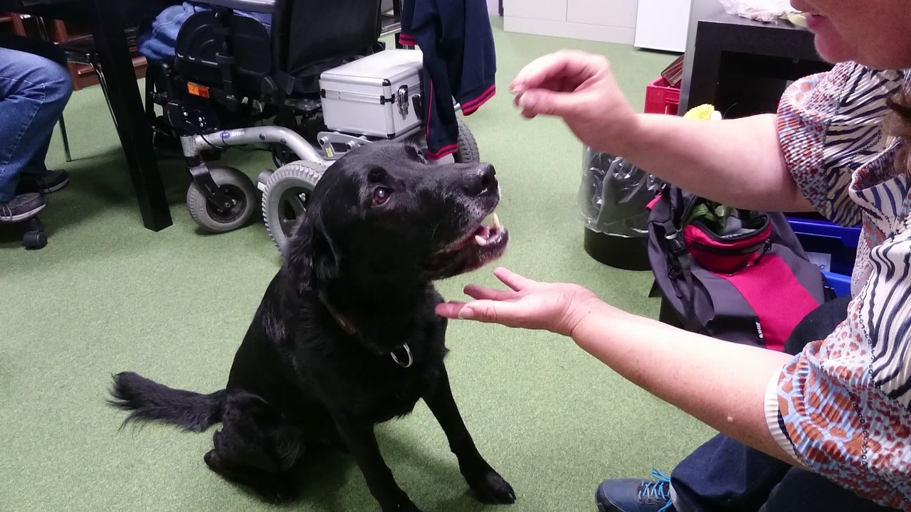 Findus auf die Probe gestellt ...