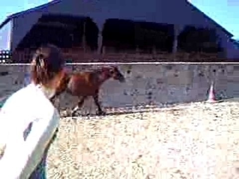 saut en liberté QUOUALA 1