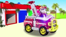 Patte patrouille les meilleures bébé jouet apprentissage les couleurs vidéo en bois jouets des voitures pour enfants enseigner les tout-petits