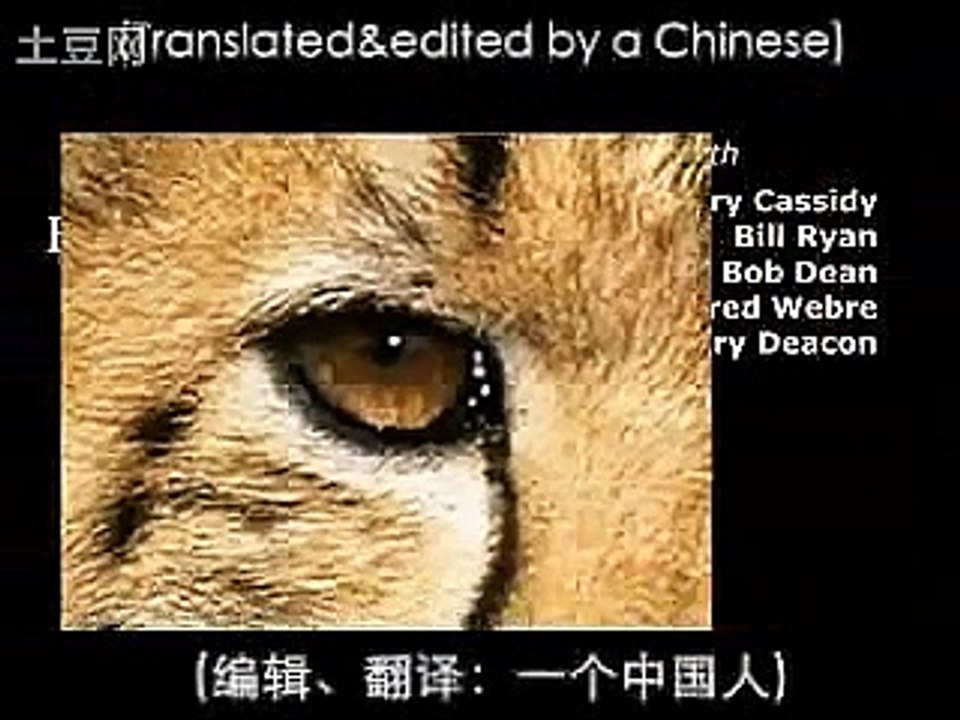 星際政治揭秘會後專訪篇《暢談未來》Project Camelot FutureTalk in Barcelona