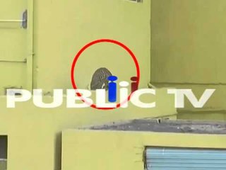 Watch Leopard Enters School Premises In Bengaluru