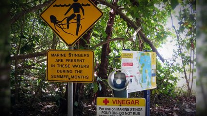 10 Praias mais perigosas do mundo