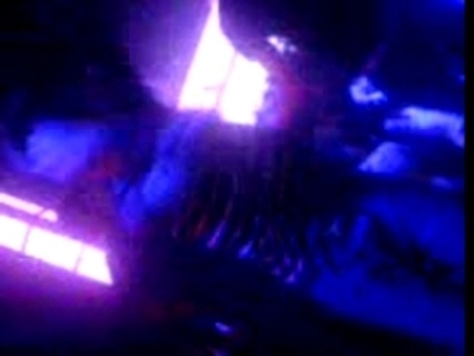 Disnight