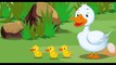 The Ugly Duckling _ Full Movie _ Dy Tales _ Bedtime Stories For