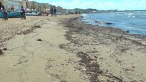 Report TV - Durrës, nis sistemimi i plazhit pastrimi do të bëhet 2 herë në ditë