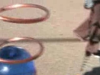 Video Blog # 96: Half Moon Bay Harvest Festival