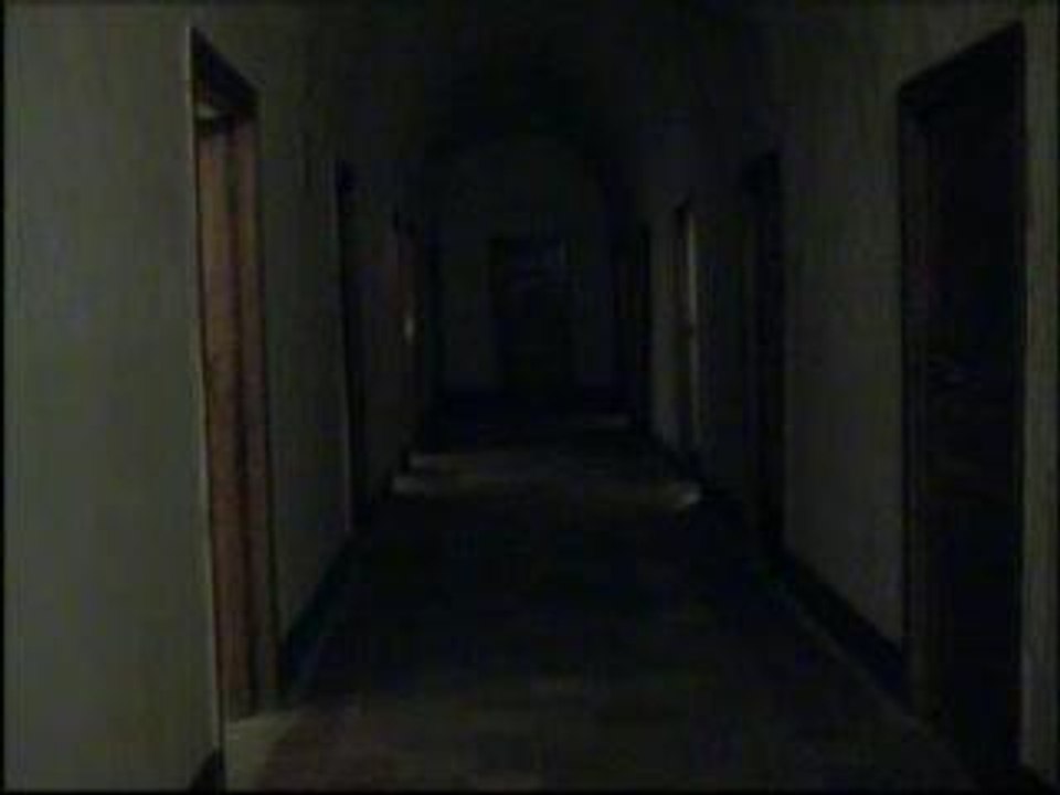 The concert of the doors