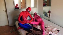 Y bola congelado hombre de Acero vida rosado embarazada Chica araña hombre araña superhéroe en Vs elsa real