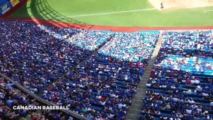 My Canadian Life in Toronto