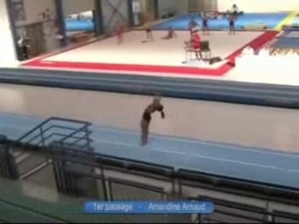 Sélective n°2 fem pour le Mondial 2007 de tumbling