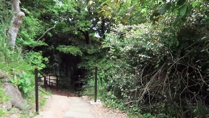 Breathtaking Mountain Climb Near Tokyo!   Sharla in Japan