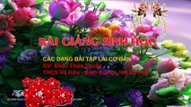 Bai giang Sinh hoc 9 - Bai 7 - Bai Tap Lai Hai Cap Tinh Trang