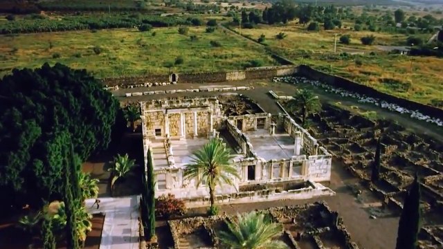 شات فلسطين شات عربي دردشة فلسطين - arab chat