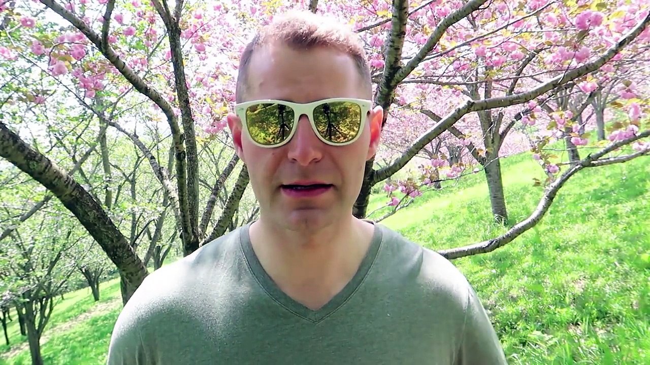 Teaching Elementary School Japan   Top 3 Tips & Tricks