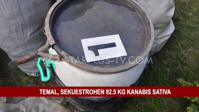 TEMAL, SEKUESTROHEN 92.5 KG KANABIS SATIVA