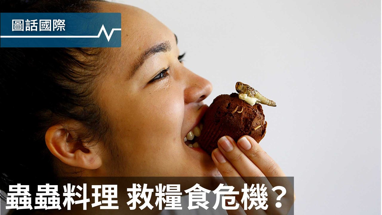 幼蟲巧克力蛋糕、炸蟋蟀沙拉......蟲蟲料理，是糧食危機的救星？