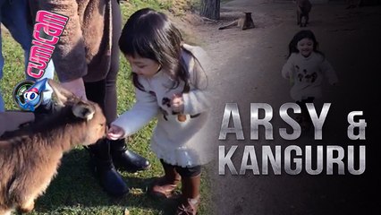 Liburan ke Australia, Arsy Bermain dengan Kanguru - Cumicam 06 Juli 2017