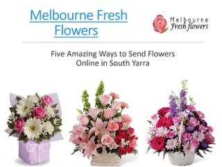 Five Amazing Ways to Send Flowers Online in South Yarra – Melbourne Fresh Flowers