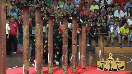 Hiệp hội thể thao Takeyama Cây Nghệ Nhỏ của Pakistan (8.53 điểm)