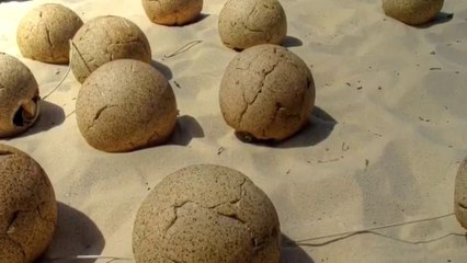 Soil Balls Inspirational Short Story.