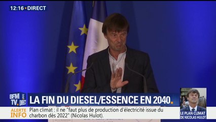 Nicolas Hulot veut "diviser par 2 la déforestation en 2020 et y mettre fin en 2030"