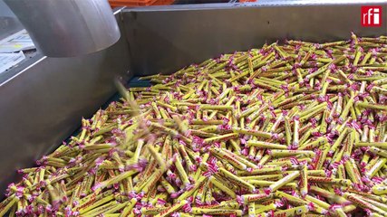 Quand le sucre devient caramel et succès planétaire, Carambar !
