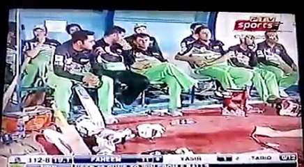 Cornered Tigers