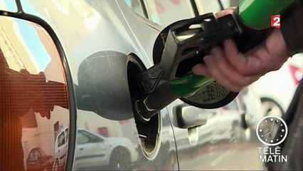 Nicolas Hulot présente son plan climat