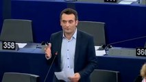 Florian Philippot au Parlement européen (05/07/2017)